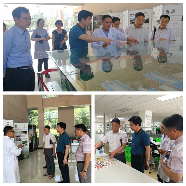 光影魔術手拼圖2.jpg